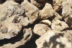 WhatsApp-Image-2022-09-26-at-6.06.26-PM-2